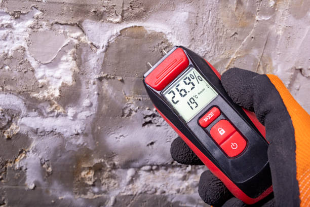 Best DIY Mold Remediation Support Services in Chino Hills, CA