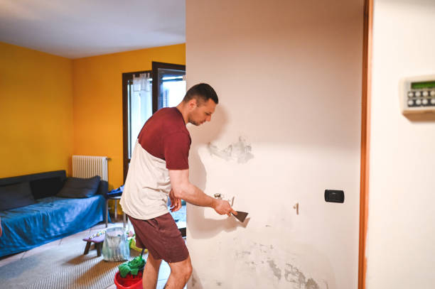 Best Black Mold Remediation in Chino Hills, CA
