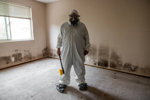 Best Bathroom Mold Remediation in Chino Hills, CA